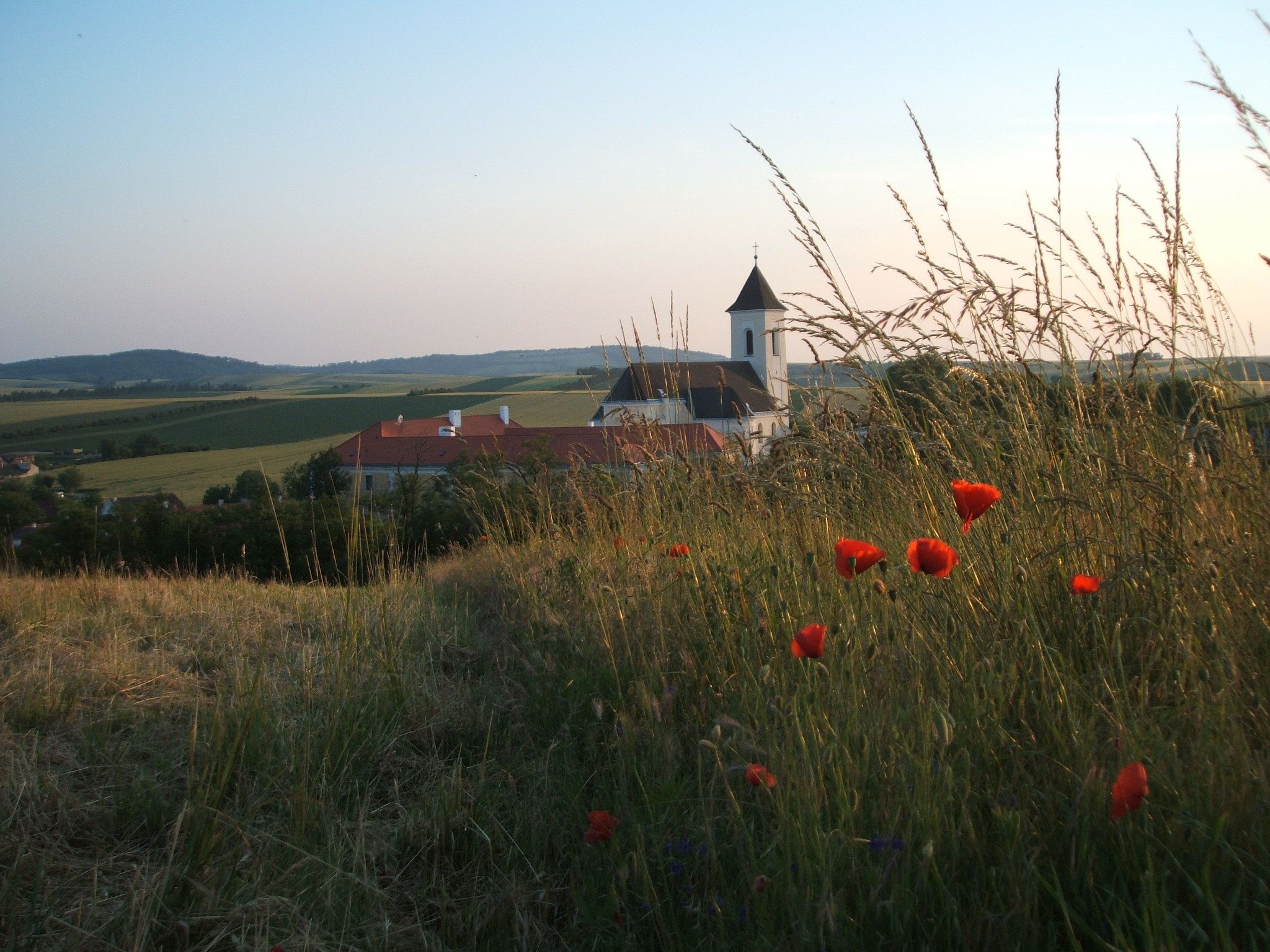A church in a rural landscape with poppies in the foreground.