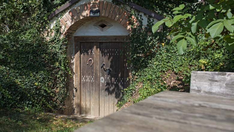 Cellar in Spillern