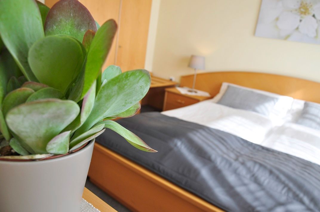 Guesthouse Hofer