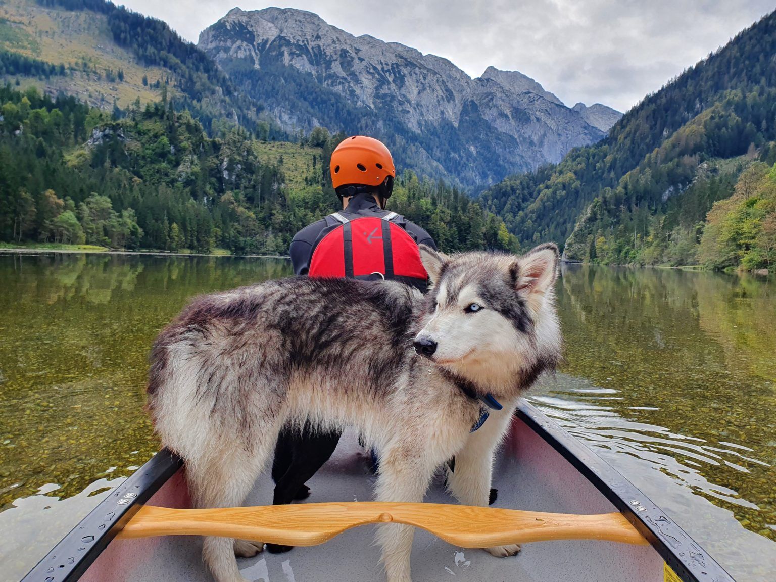 Person with helmet and dog in a canoe on a quiet lake, surrounded by mountains and forest.