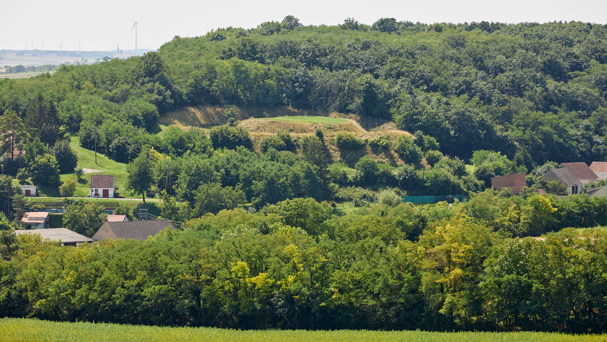 Landscape with hills, trees and houses in the foreground.
