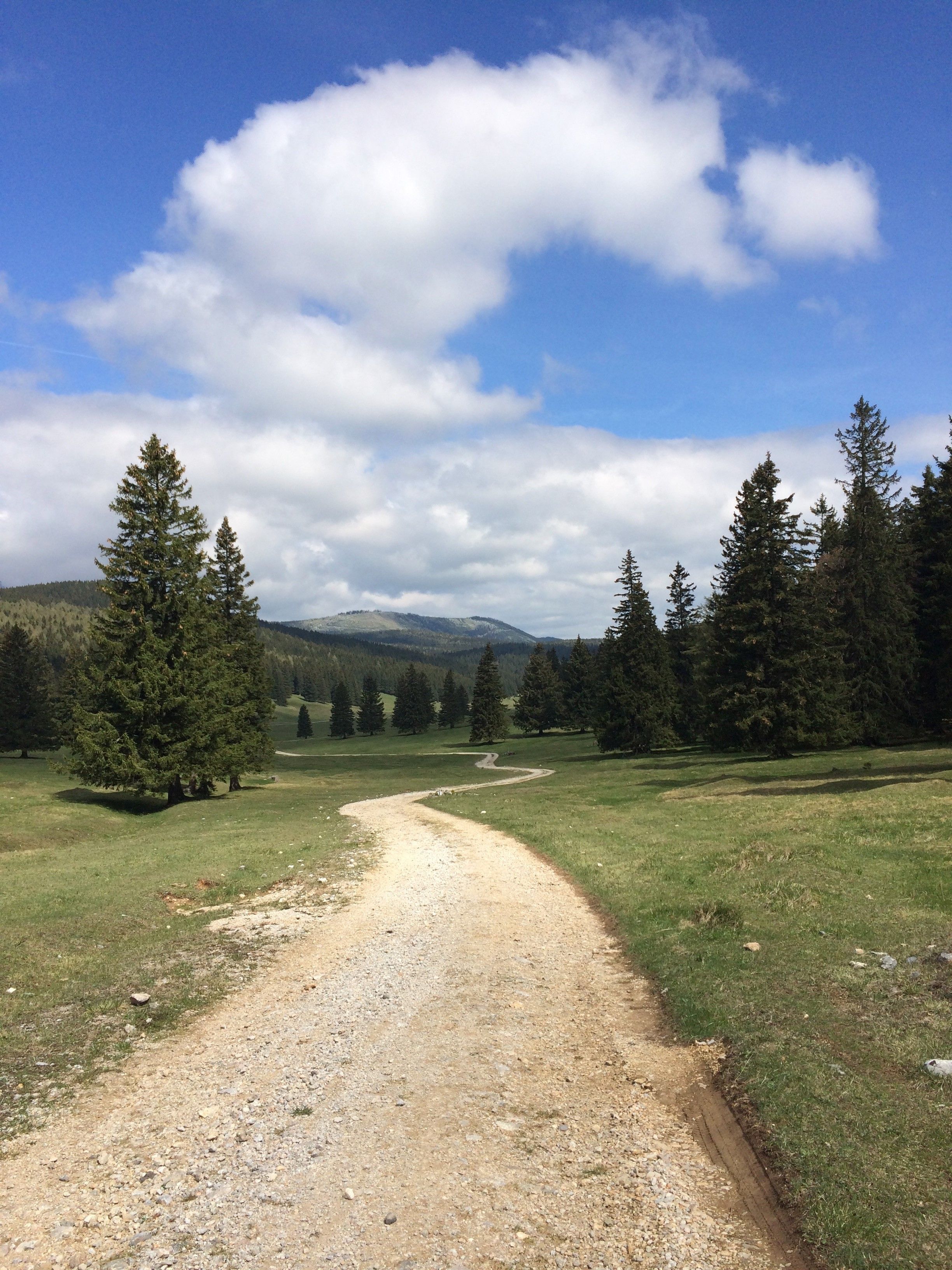 A hiking trail winds through a green landscape with trees and mountains in the background under a blue sky with clouds.