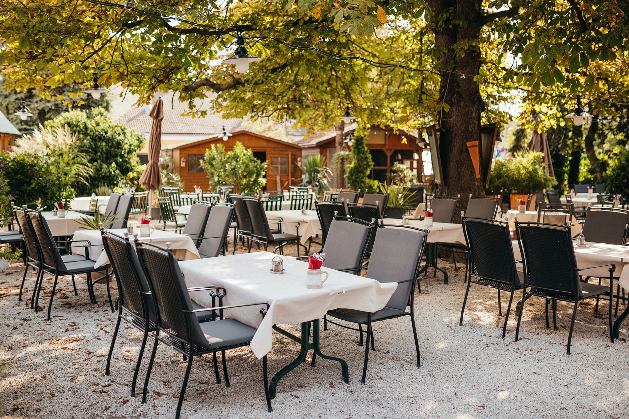 Cozy guest garden with tables and chairs under shady trees.