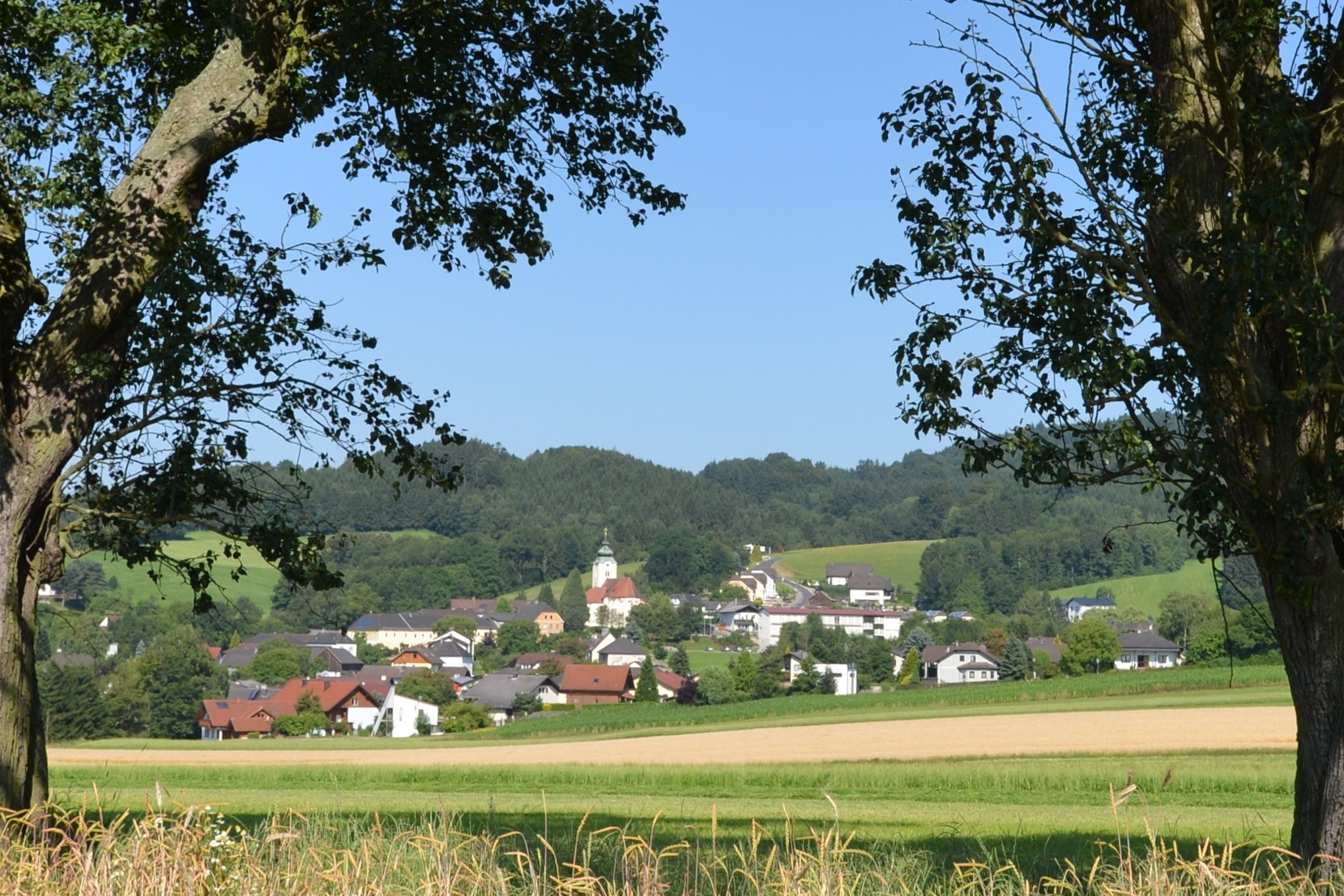 Landscape with village and church in the background, framed by trees.