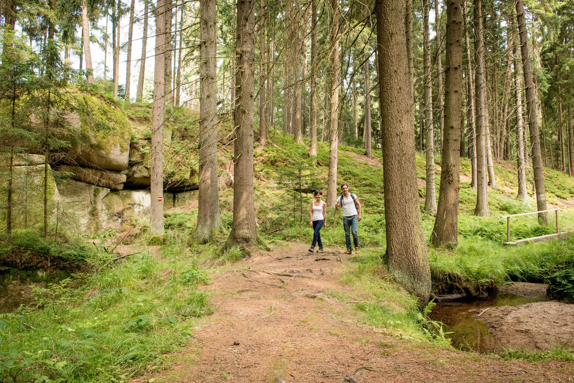 Two people are walking along a forest path in the Höllgraben, surrounded by tall trees and rocks.