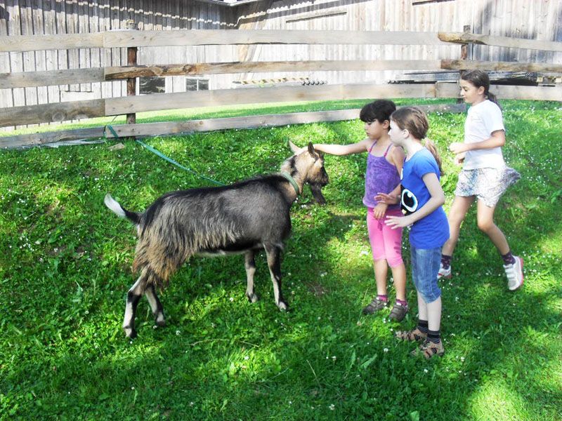Children with goat