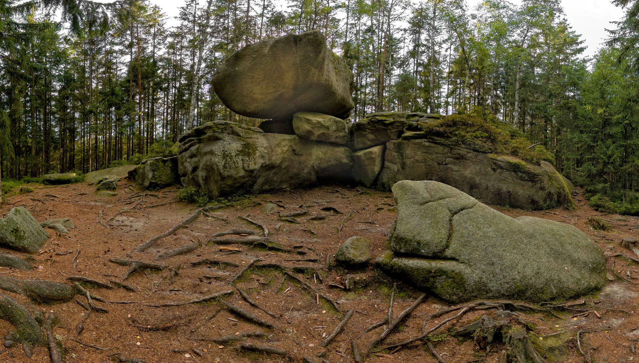 A large boulder balances on smaller stones in the forest.