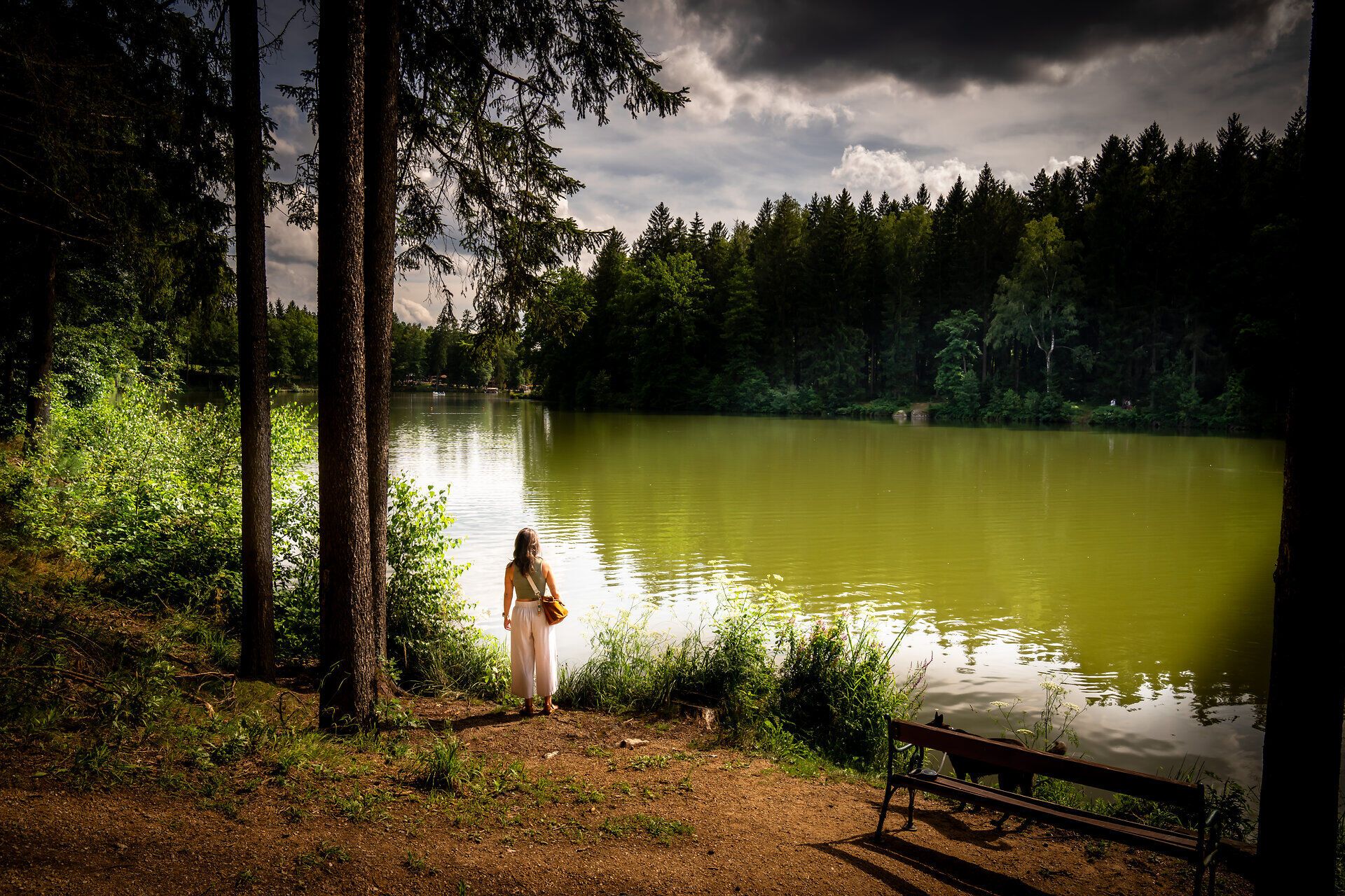 Ein ruhiger Moment am Ufer eines glitzernden Sees, umgeben von dichten Wäldern und sanften Hügeln. Die sanften Wellen spiegeln die dramatischen Wolken am Himmel wider und schaffen eine friedliche Atmosphäre, die zum Verweilen einlädt.