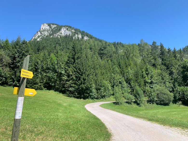 Hiking trail in Falkenstein Nature Park with signpost and mountain in the background.