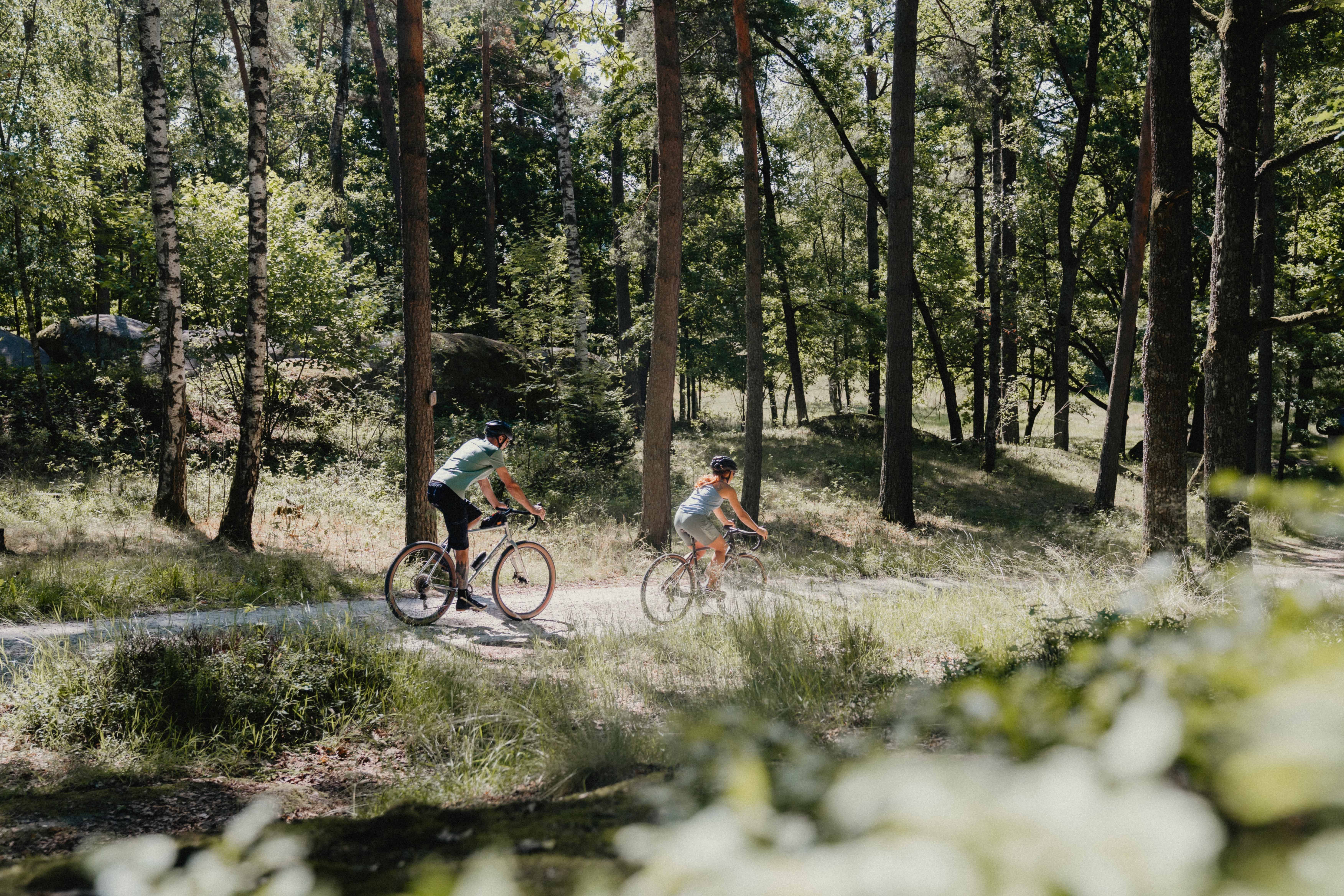 Two cyclists ride along a forest path in the Blockheide Nature Park.