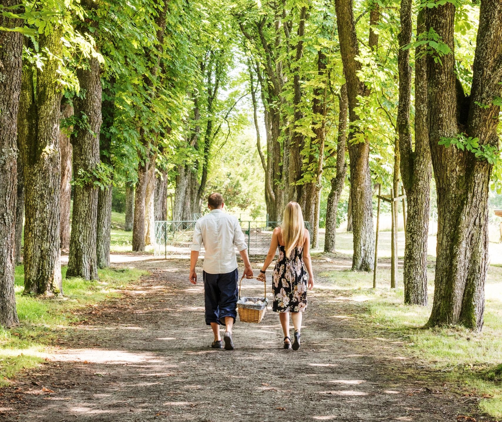 A couple walks through a tree-lined avenue in Artstetten Castle Park with a picnic basket.