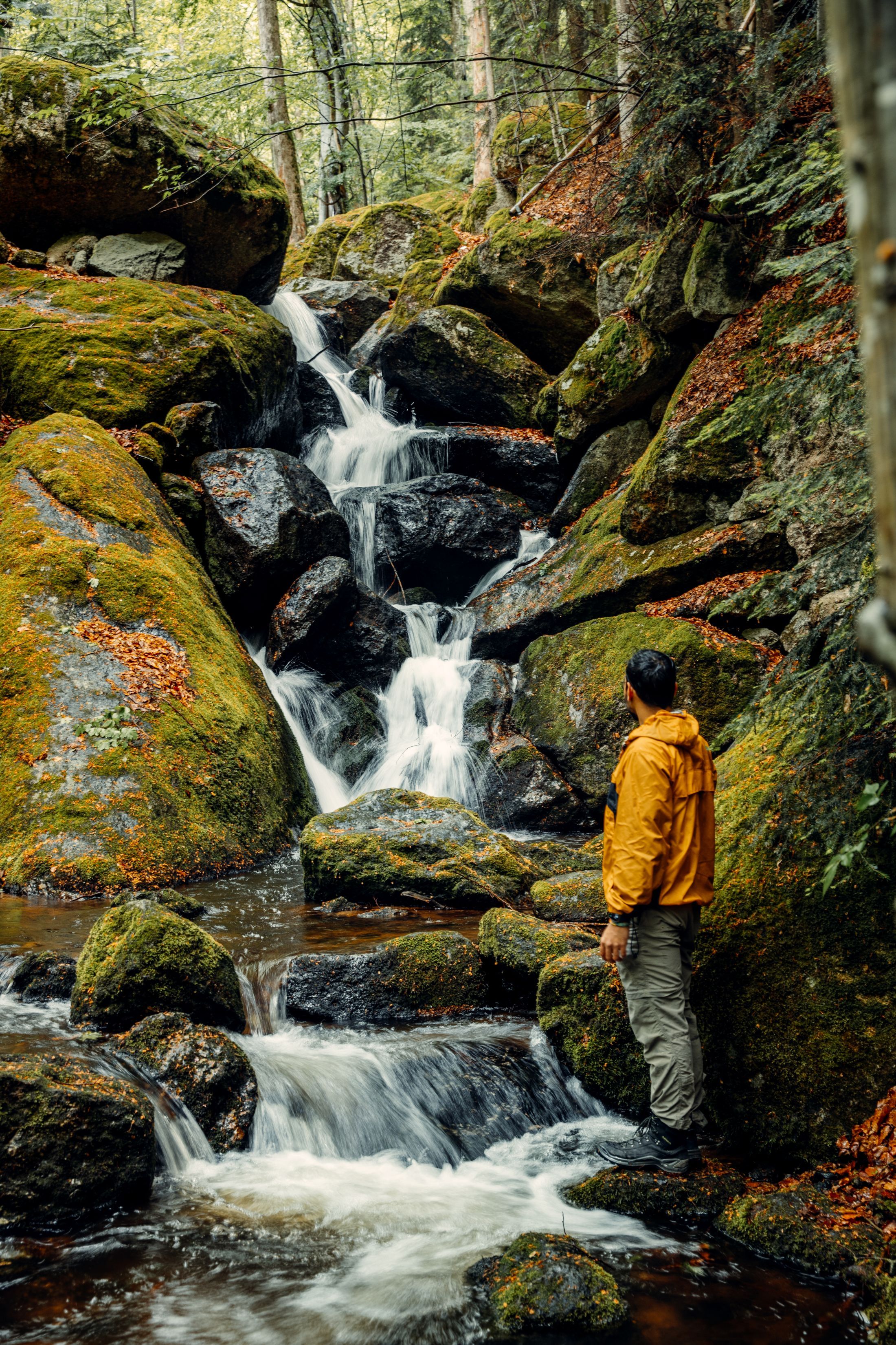 A man in a yellow jacket stands in front of a small waterfall in the forest.