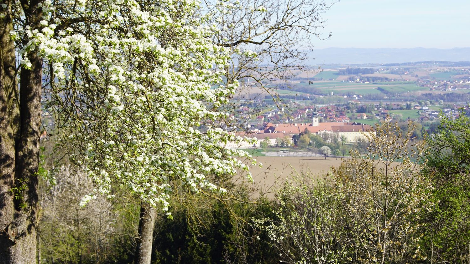 Trefflingblick Trail