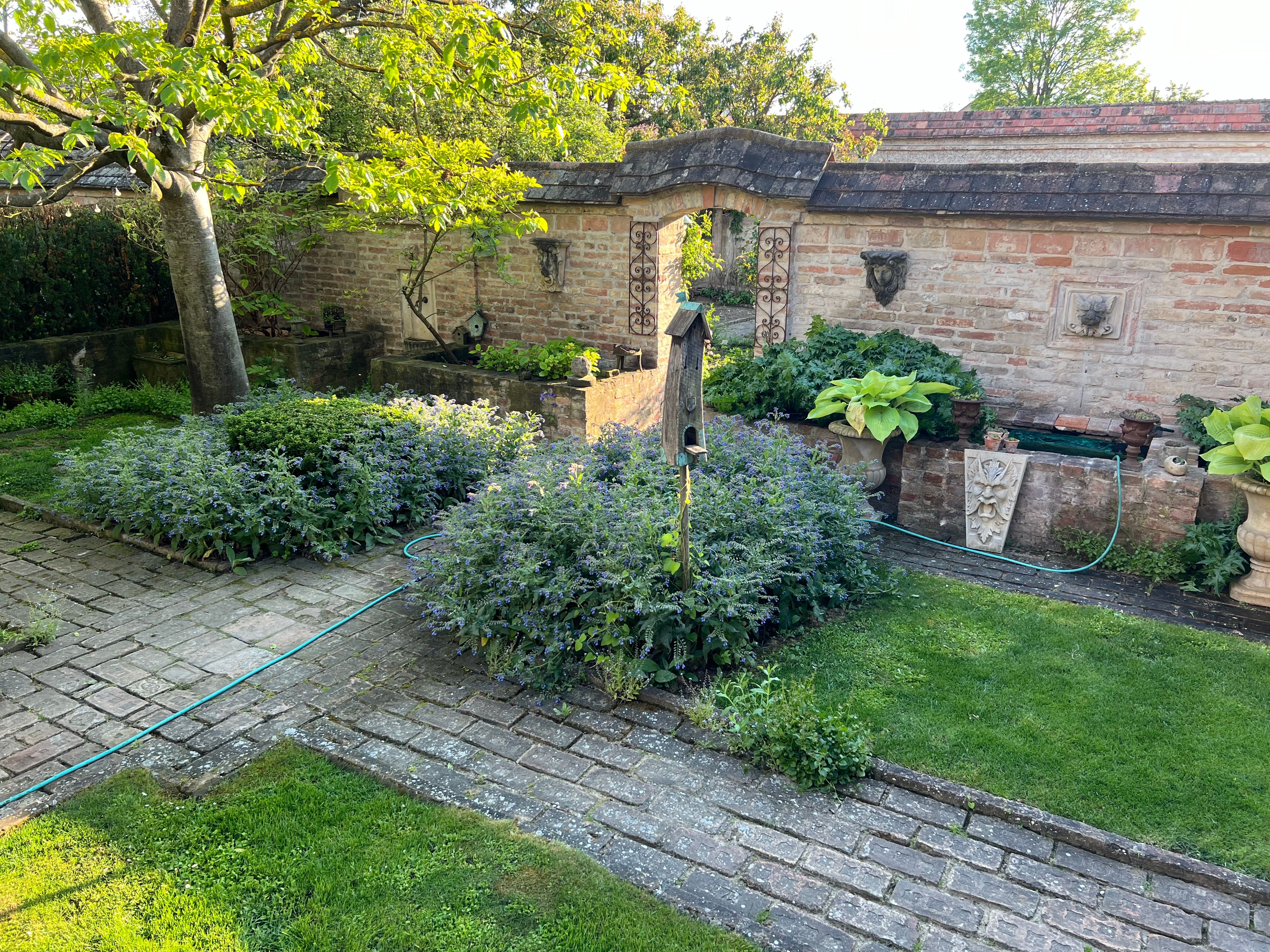 Enjoy nature in the garden