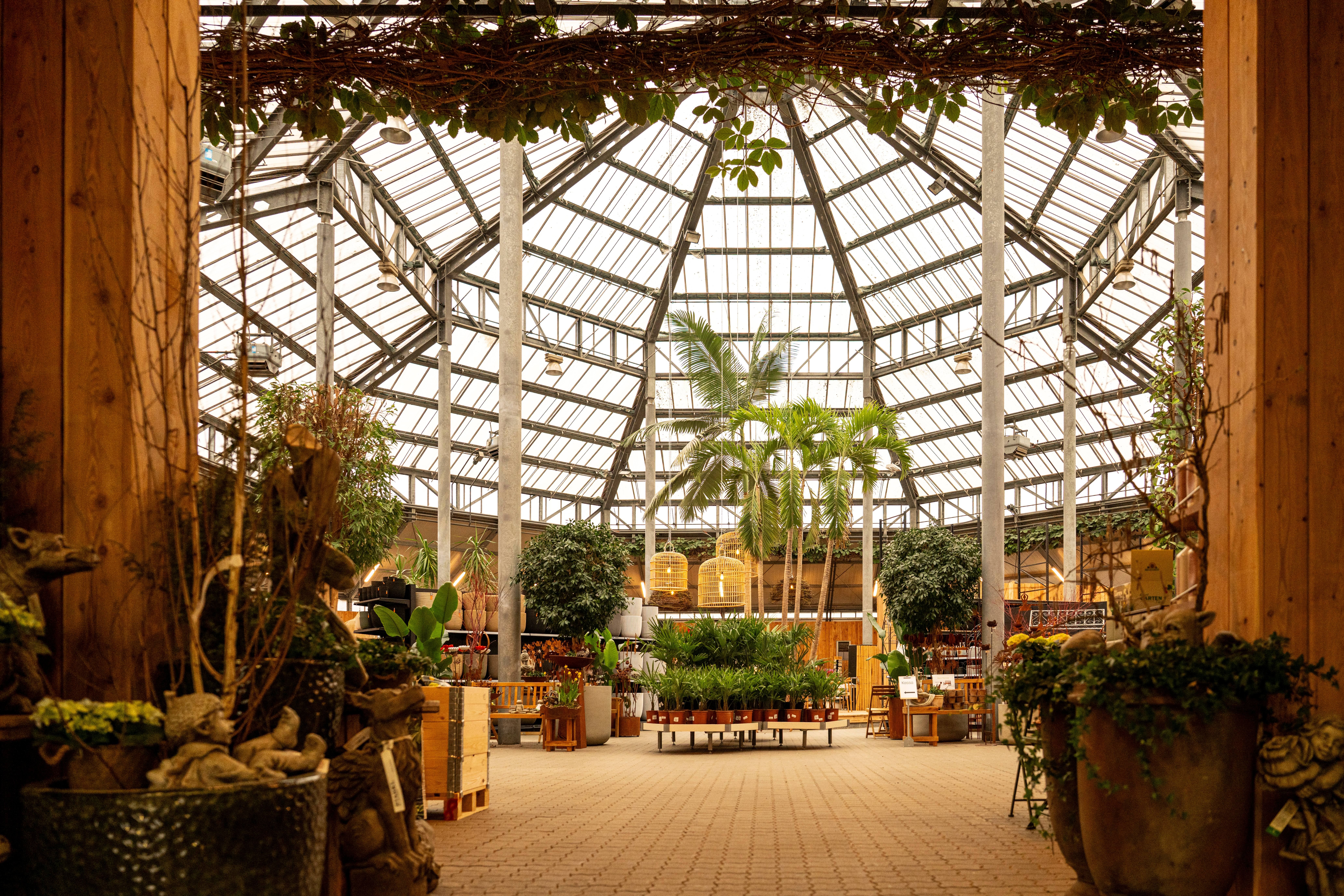 Palm house