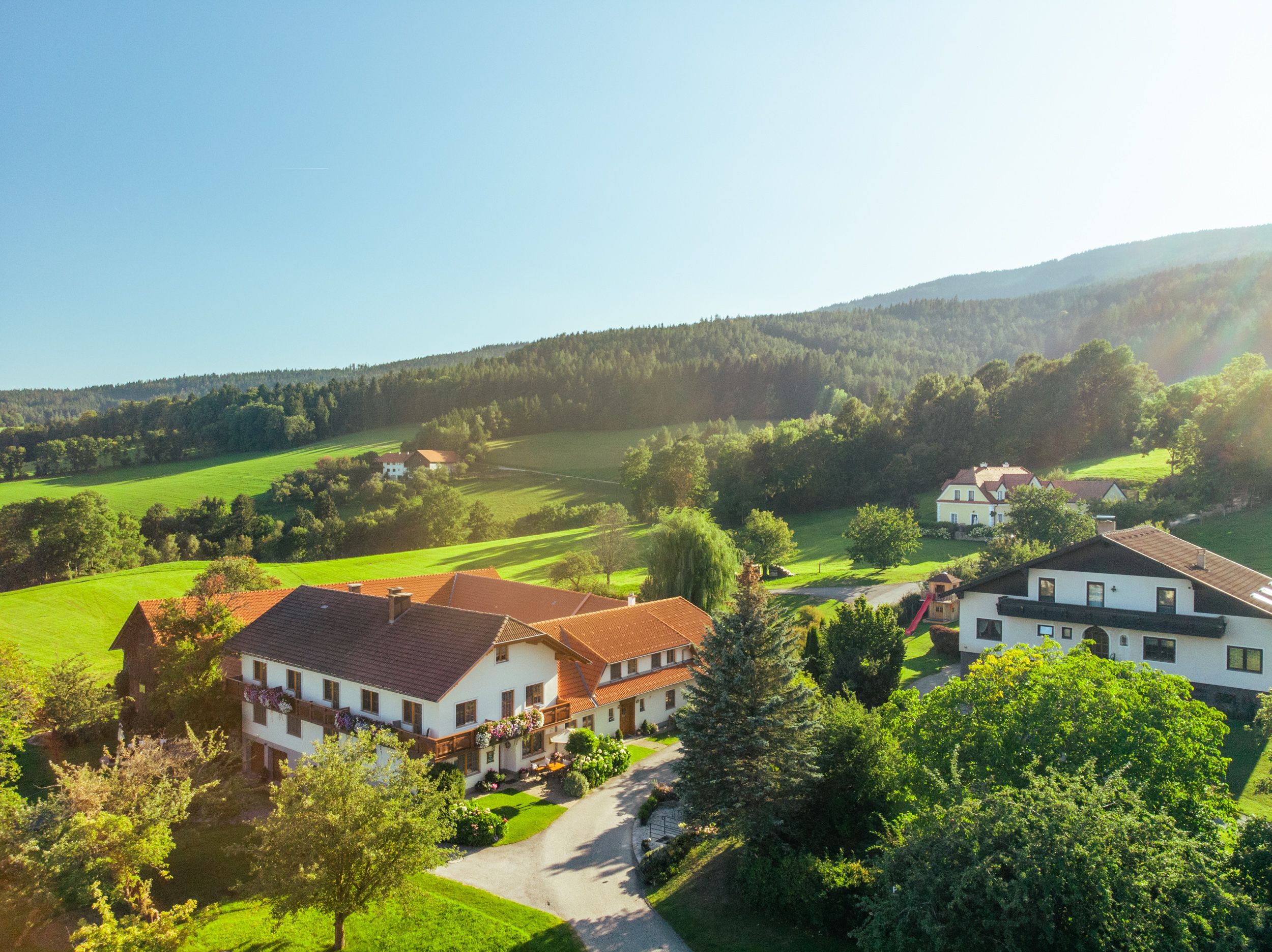 Rural landscape with houses, meadows and forest in the background.