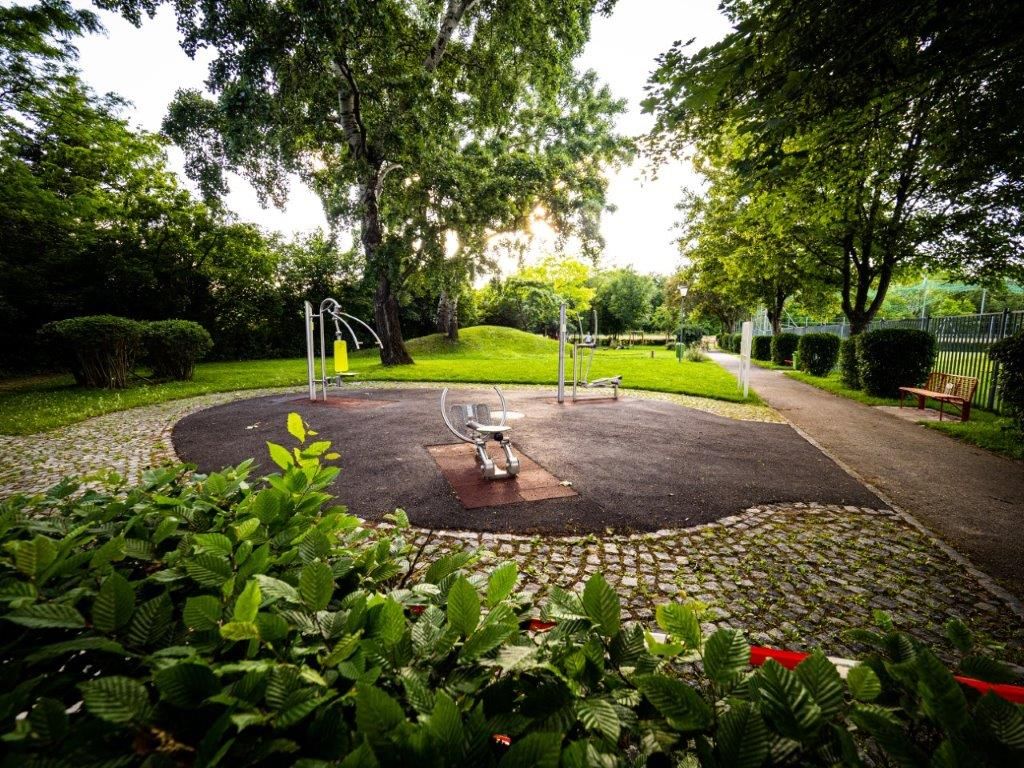 A park with fitness equipment and trees in the background.