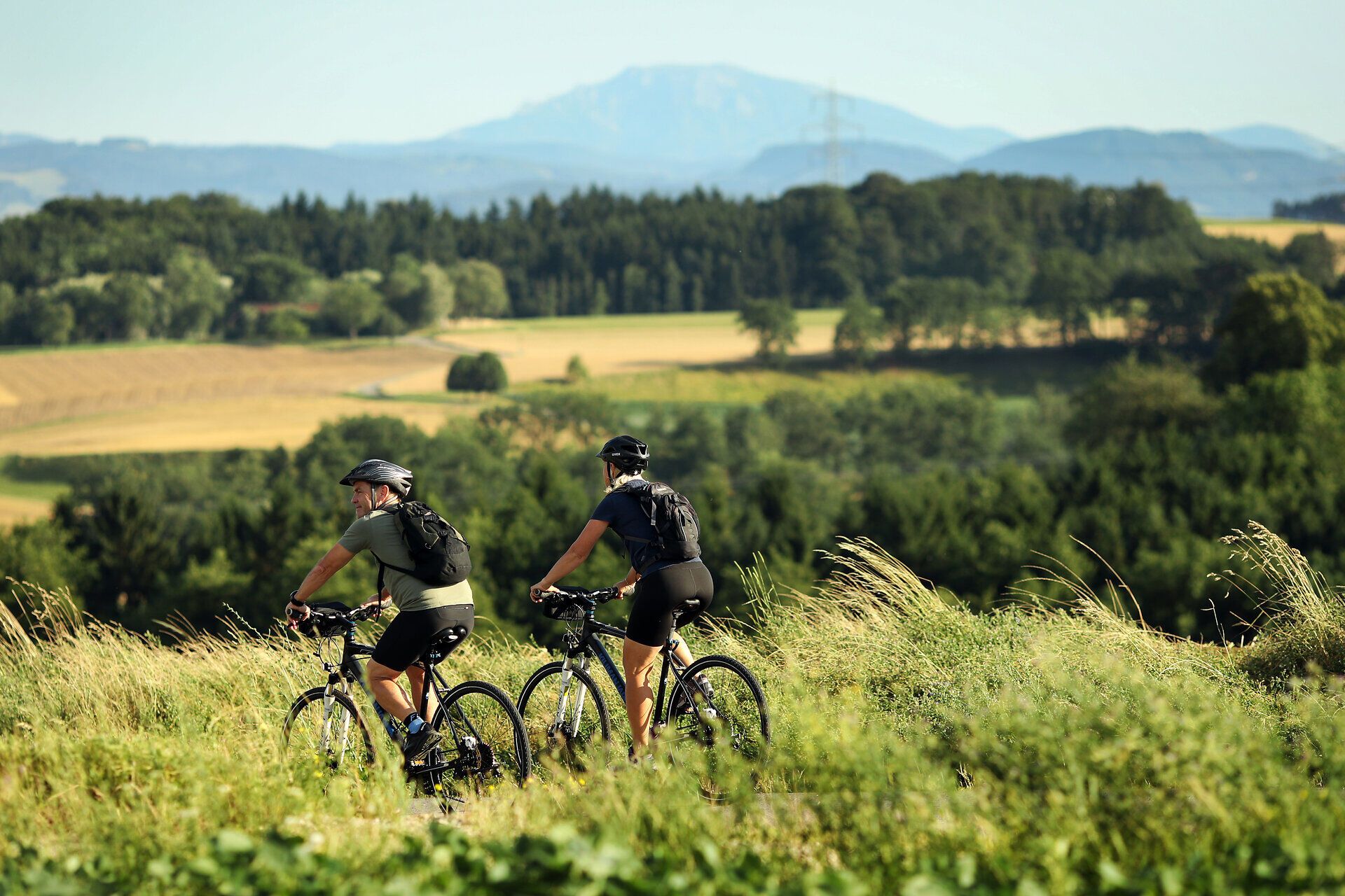 Cycling through the Melk Alpine Foothills.