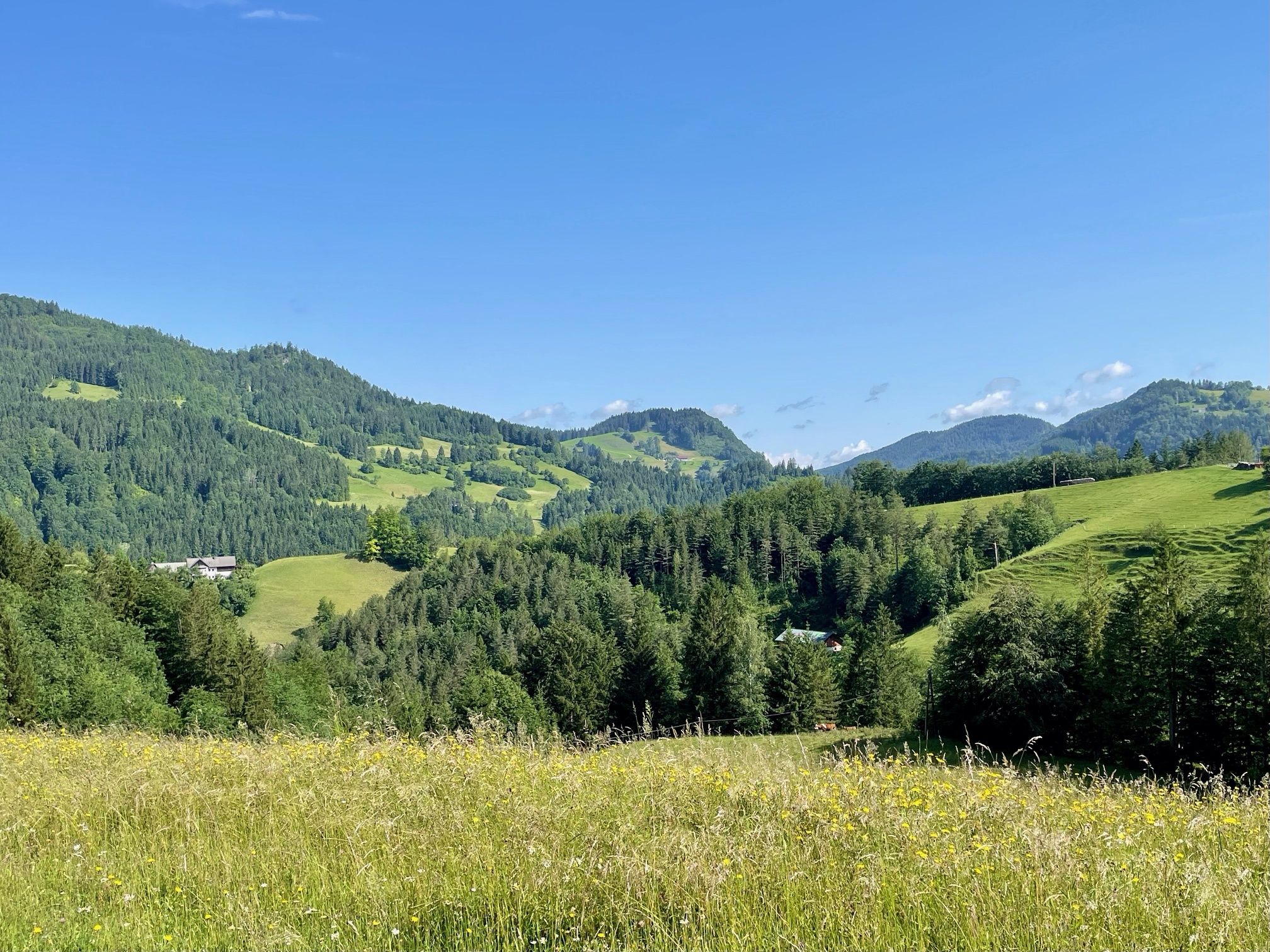 Opponitz circular ditch trail