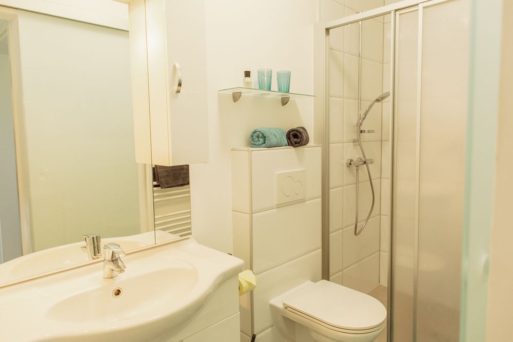 Modern bathroom with shower, washbasin and toilet.