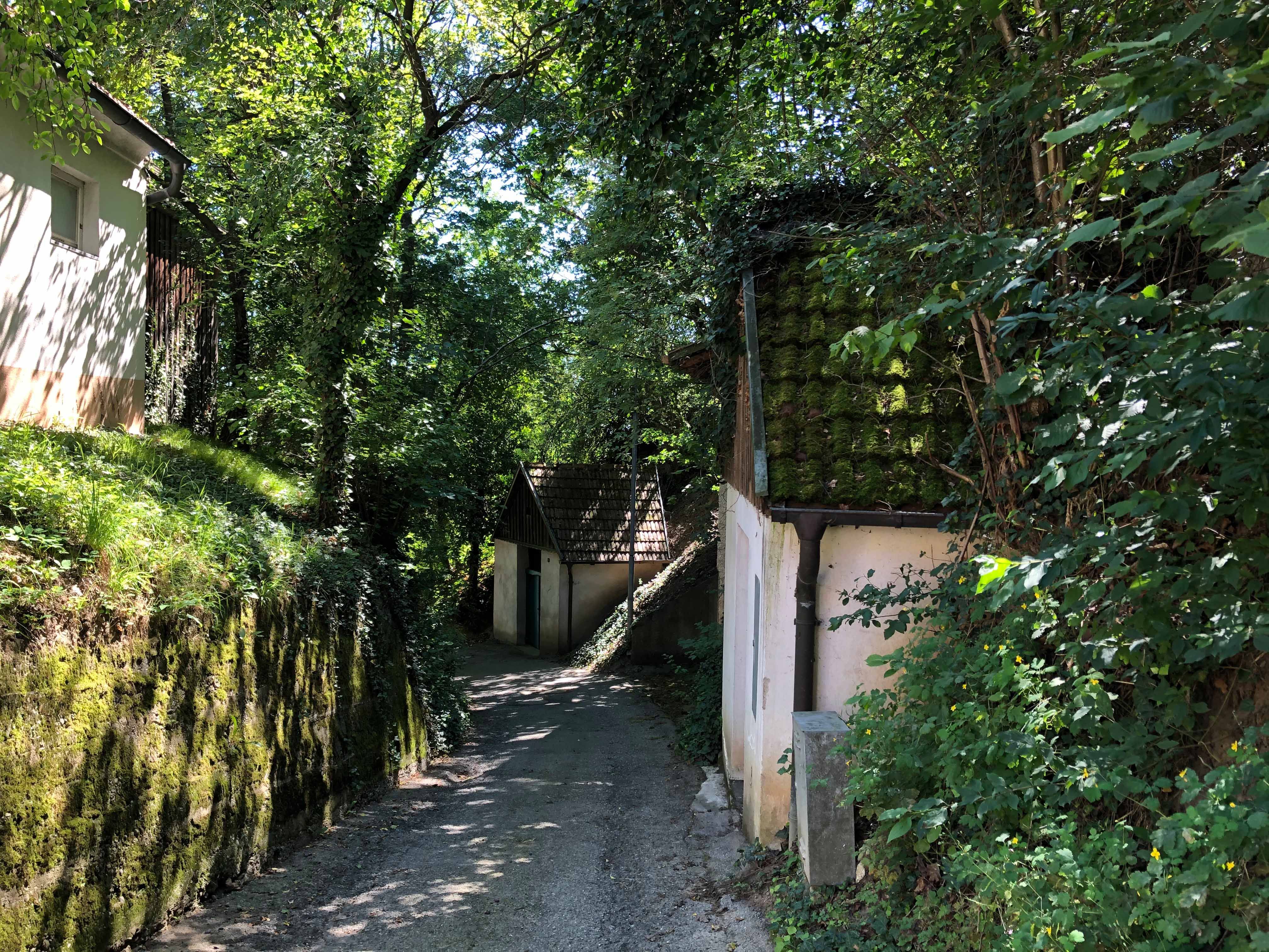 A narrow path leads through a green, wooded area with small buildings on either side.