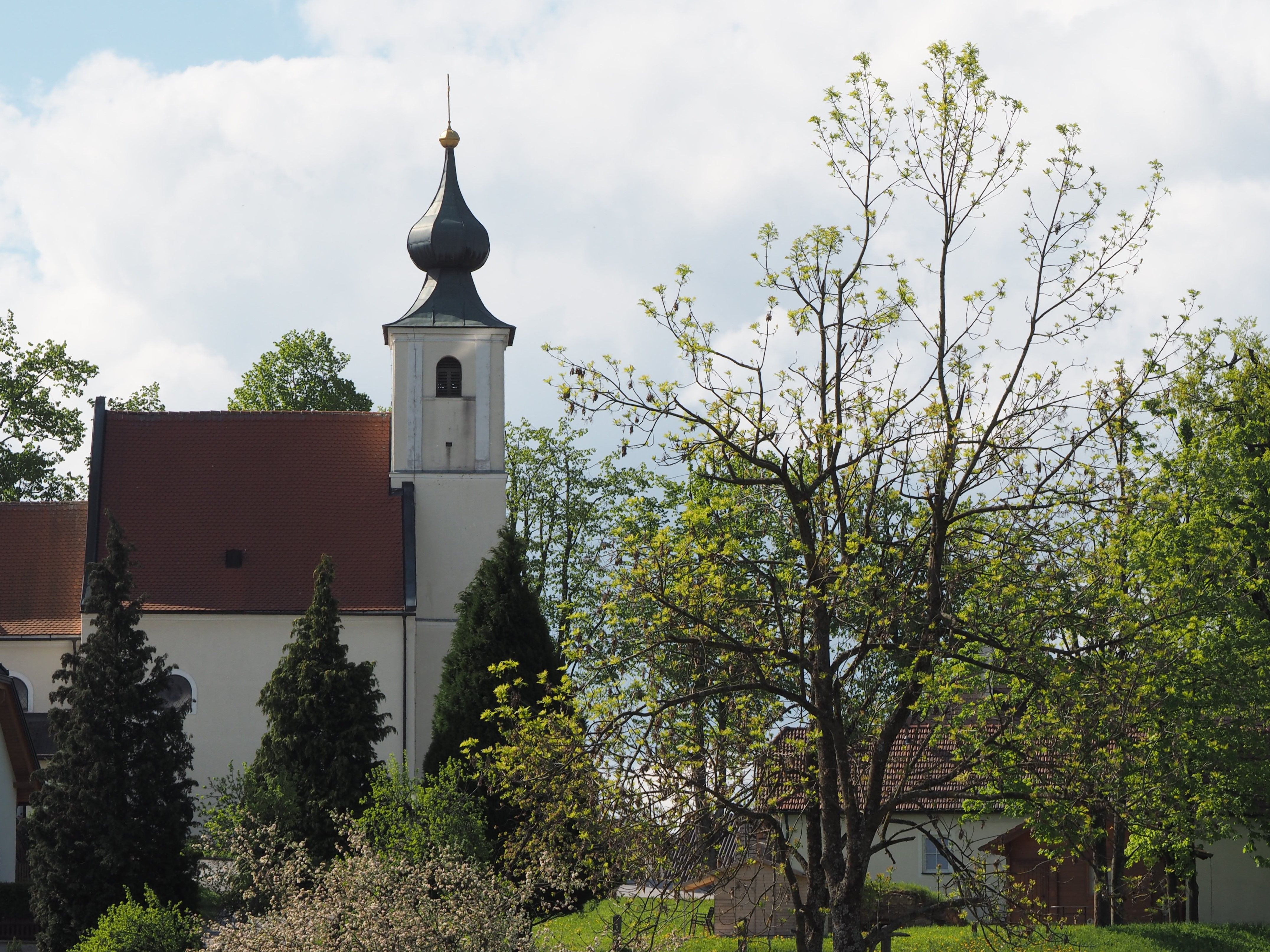Church with onion dome and trees in the foreground.