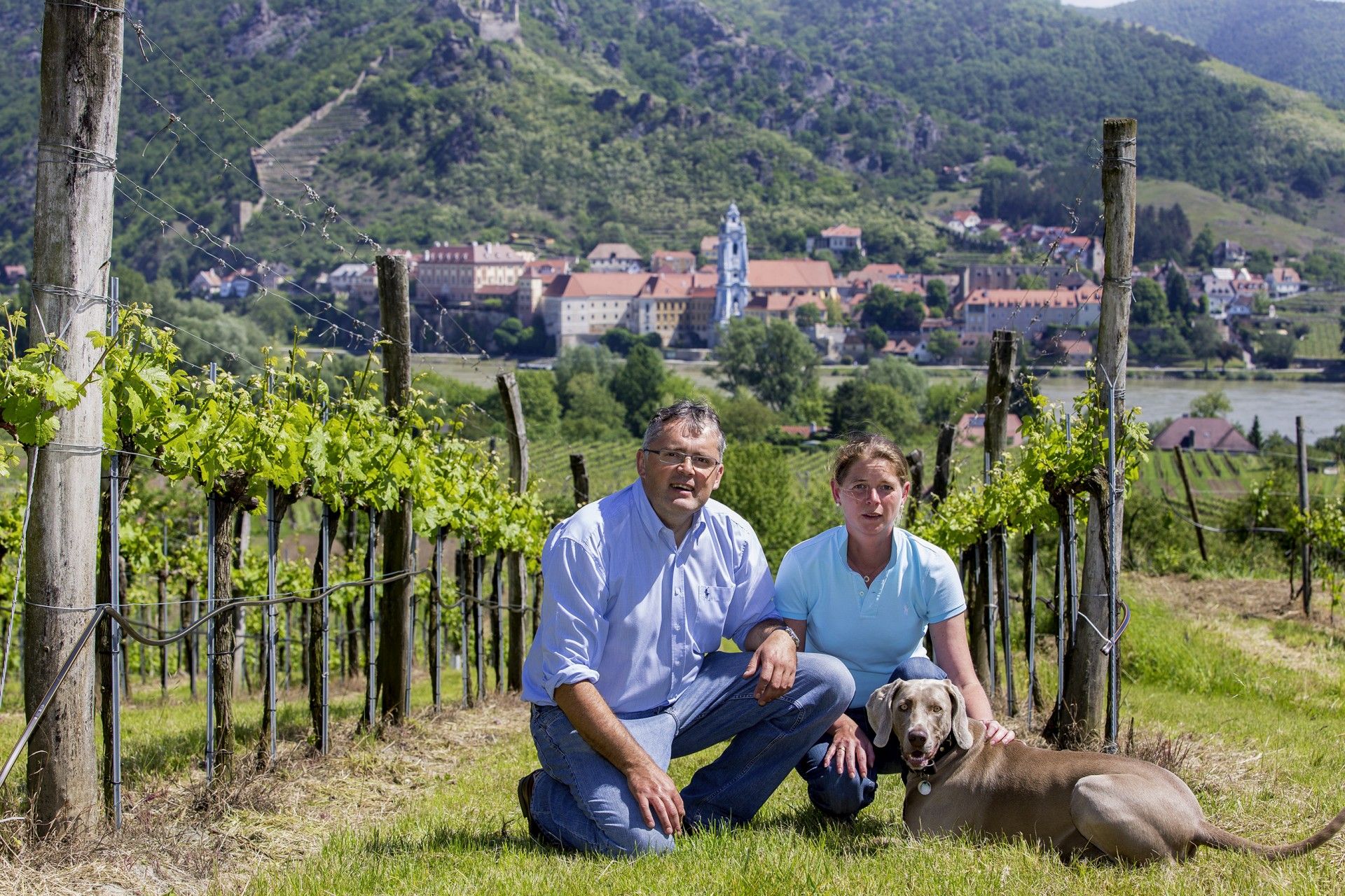 Winery-Sigl