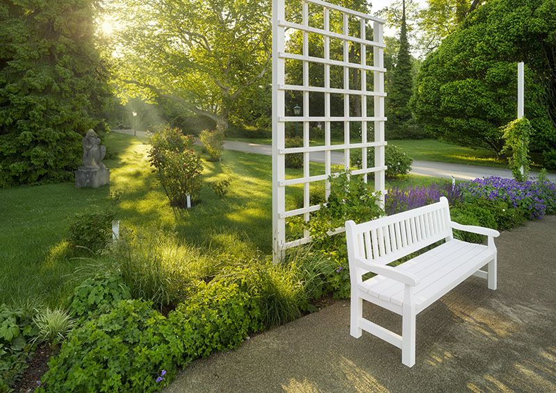 White bench in the rose garden with trellis and plants in the sunlight.