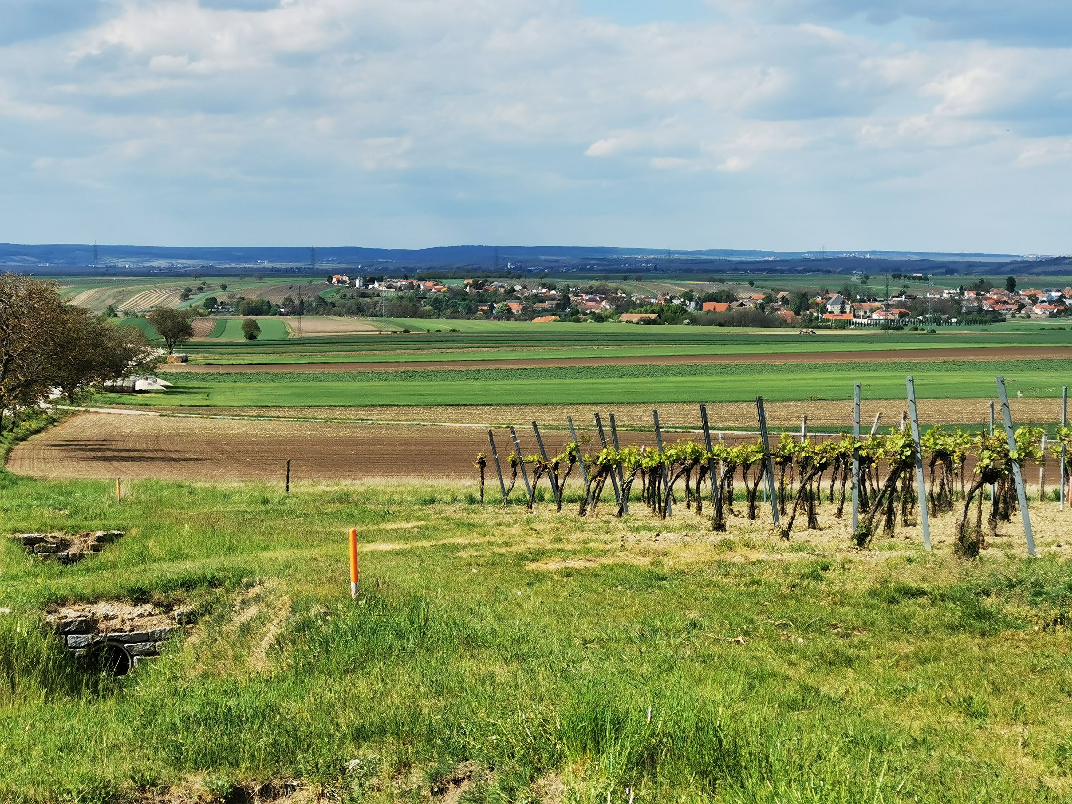 View over green meadows with vineyards. A village can be seen on the horizon.