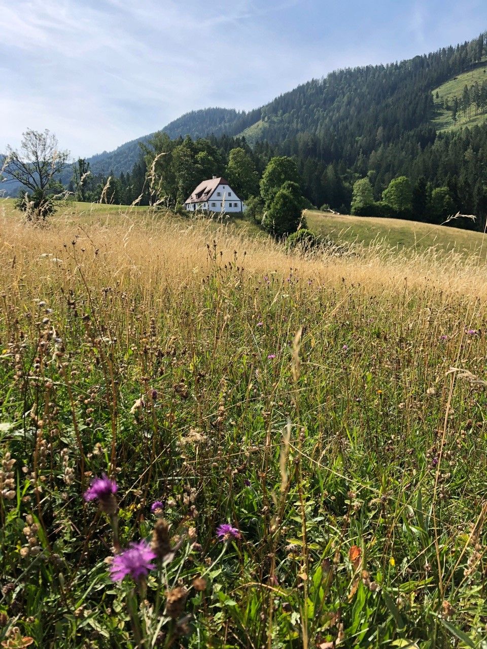 Vacation cottage Hinterbreiteneben