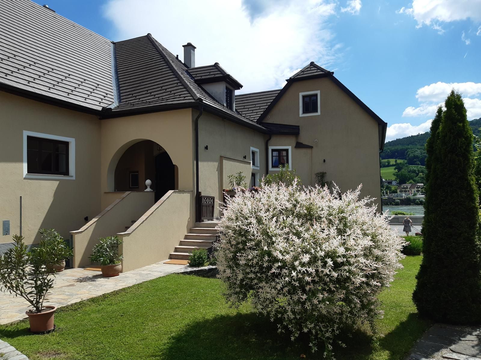 Entrance area of a house with garden and flowering shrub.