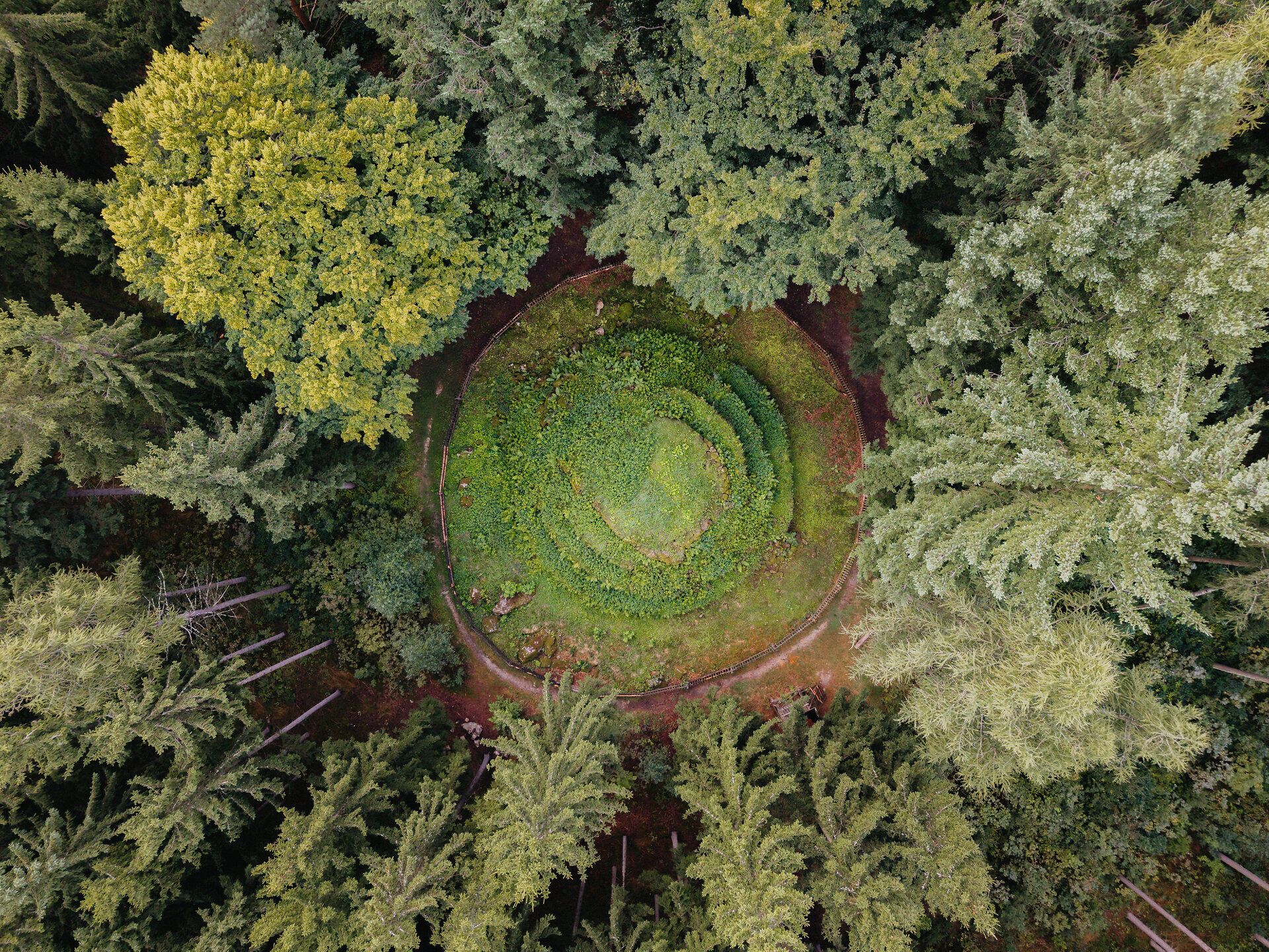 Drohnenaufnahme eines kreisförmig angelegten, begrünten Felsens im Wald; der Kierlingstein liegt eingebettet in dichten Nadel- und Mischwald in der Kraftarena Groß Gerungs.
