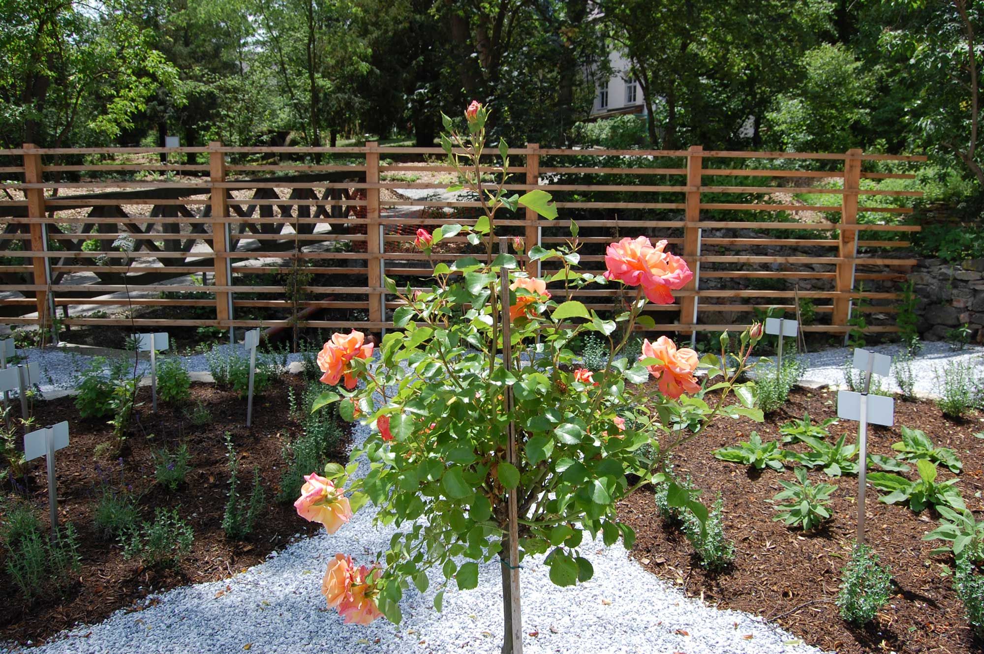 Schiltern Castle therapy garden, shield garden with view of trellises