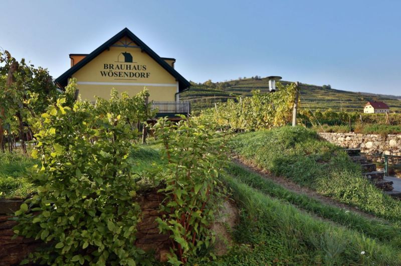 Brauhaus Wösendorf in the middle of vineyards.