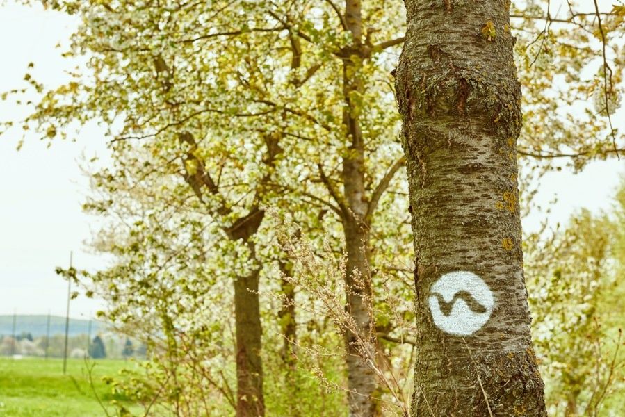 Color marking along the long-distance hiking trail Nibelungengau