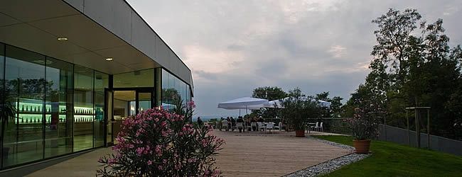 Modern terrace with glass façade and plants, evening atmosphere.
