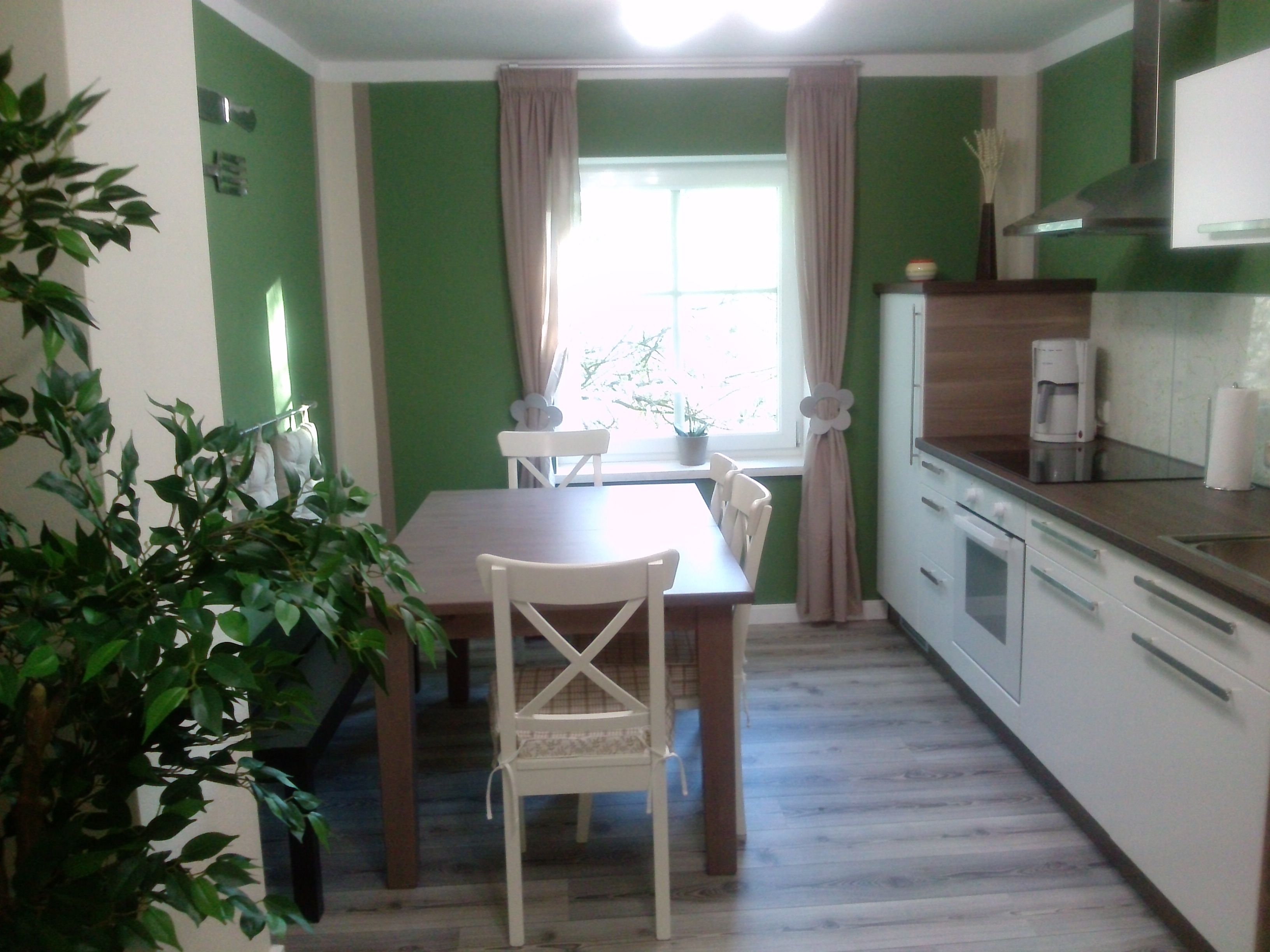 Modern kitchen with green and white walls, dining table, chairs and kitchen appliances.