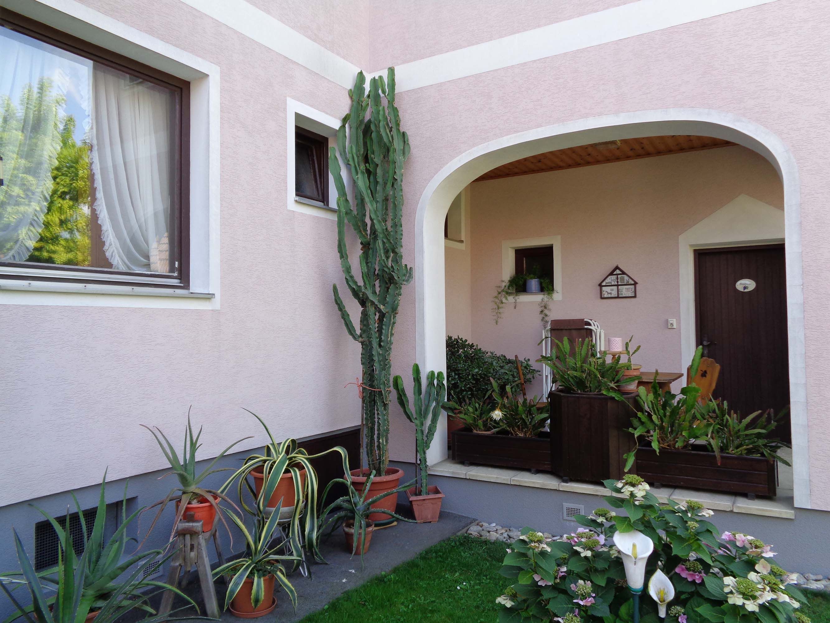 Inner courtyard with a view of a pink façade and many potted plants and windows.