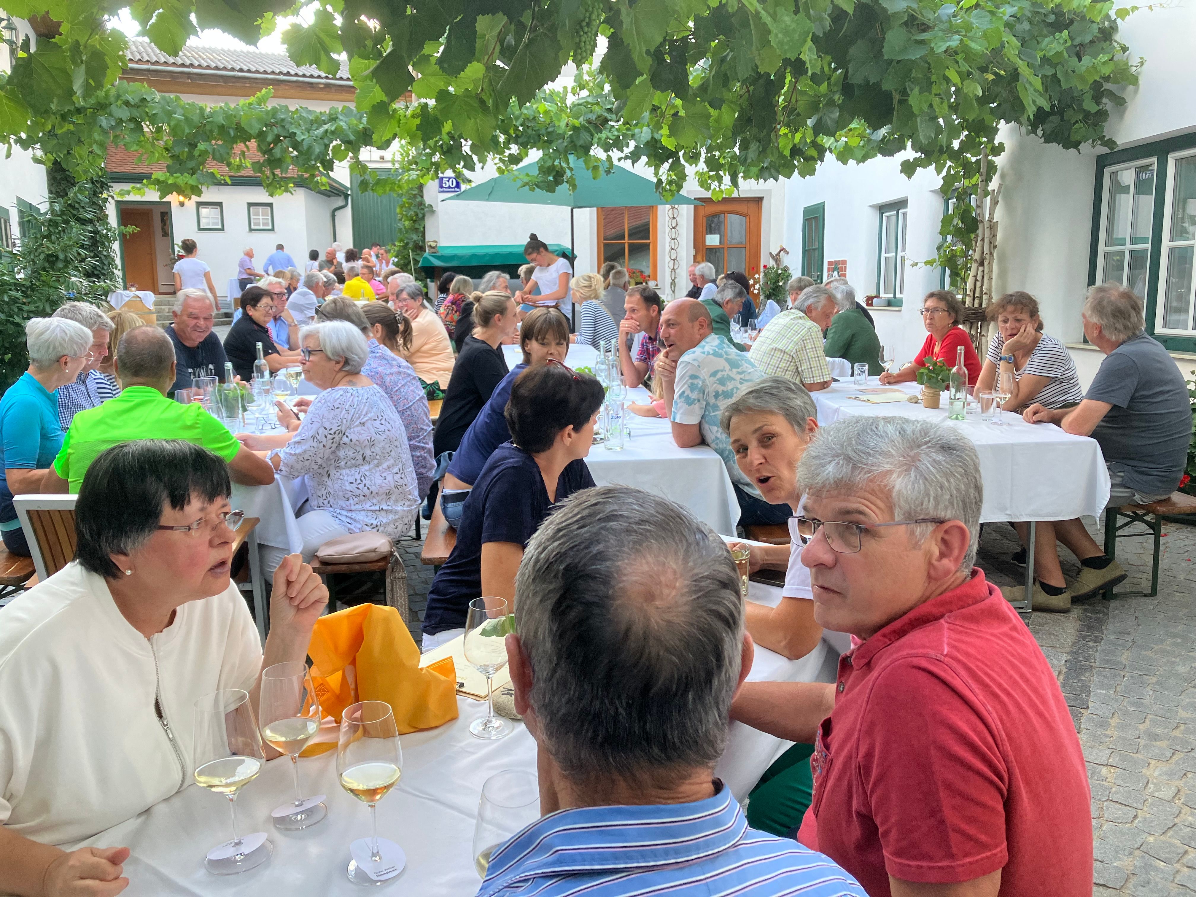 People sit at outdoor tables under vines and chat.