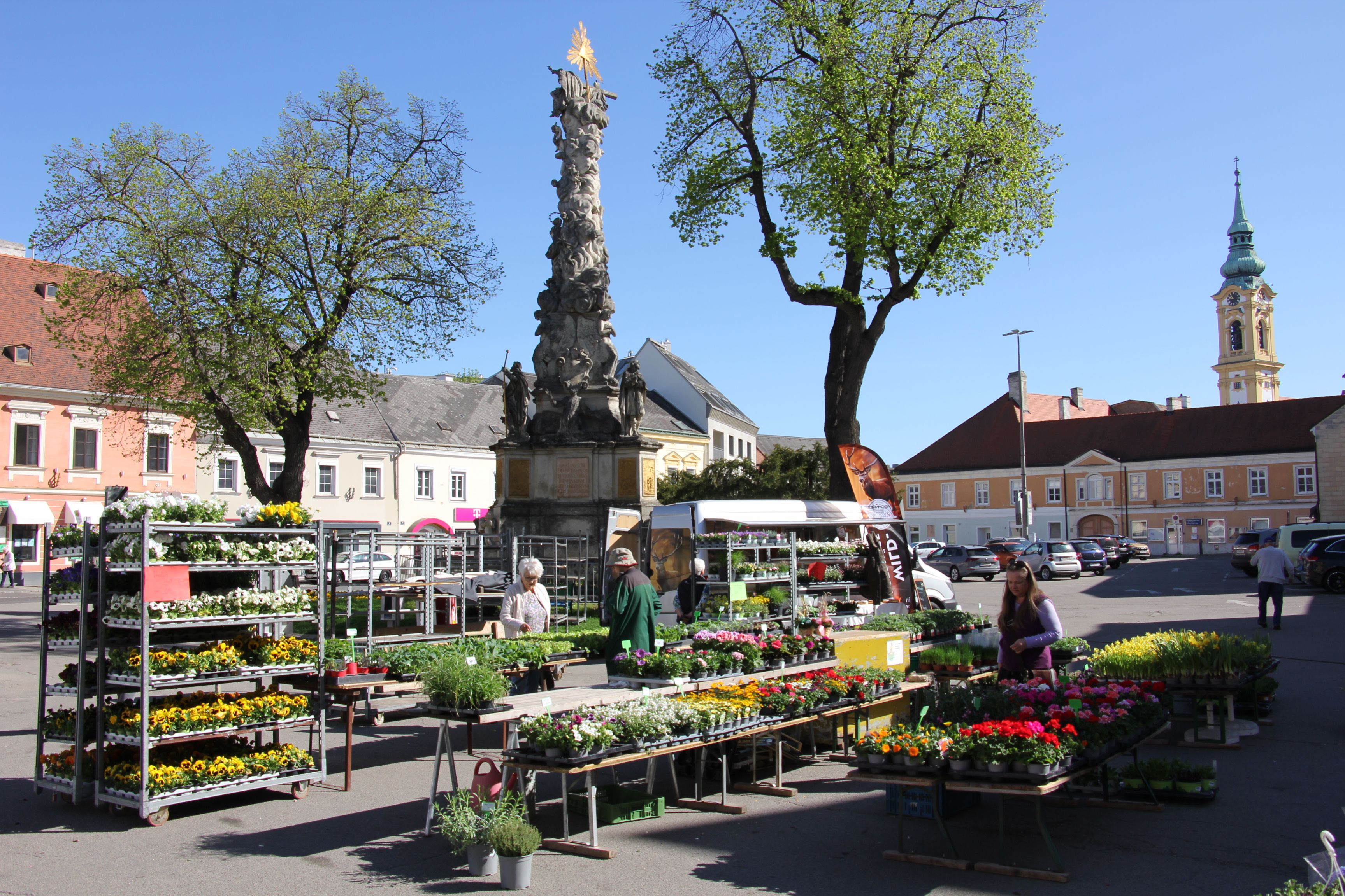 Weekly market in Stockerau with flower stalls and a baroque column in the background.