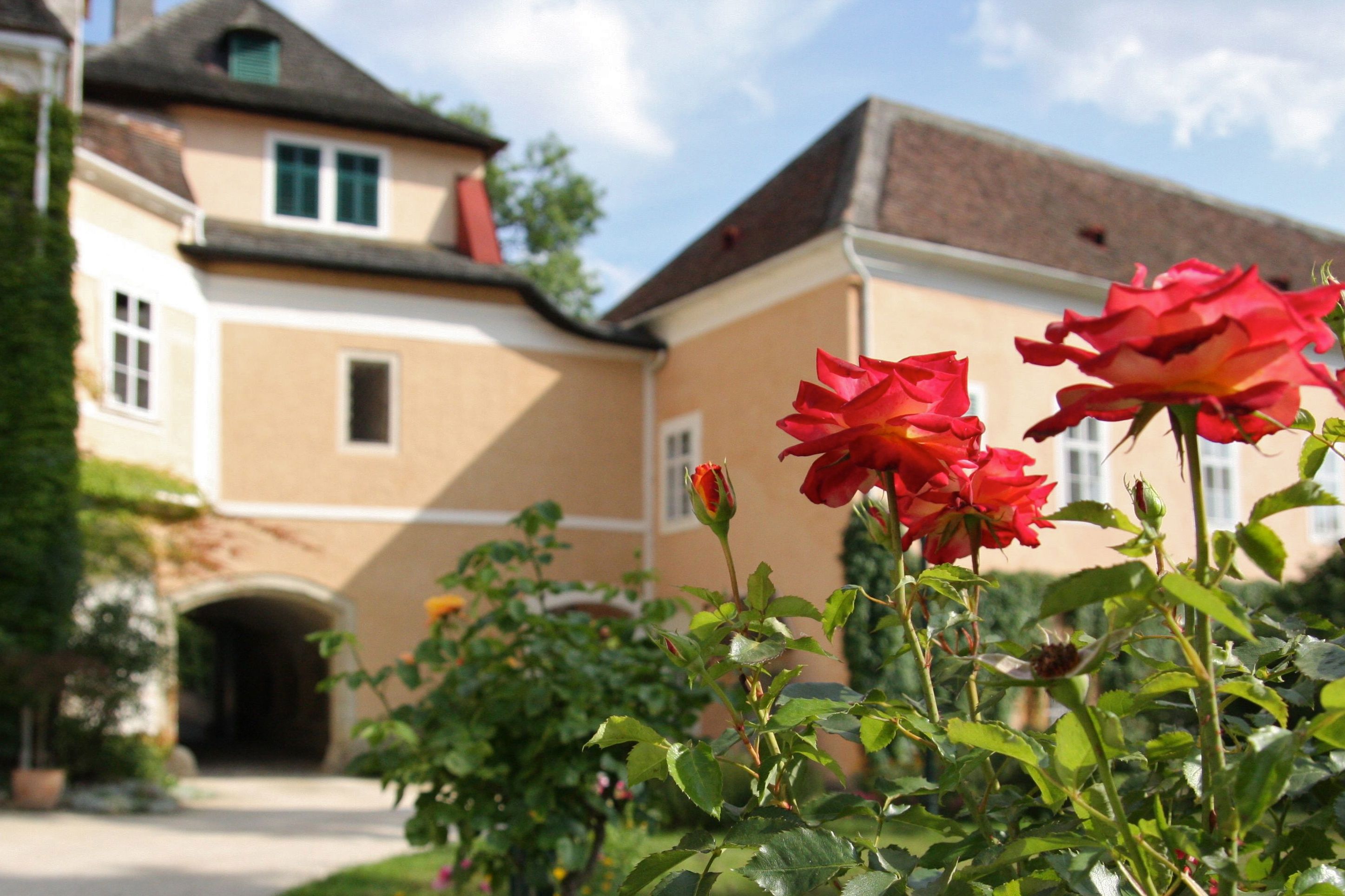 Close-up of red roses in front of a yellow castle building with roof and windows.
