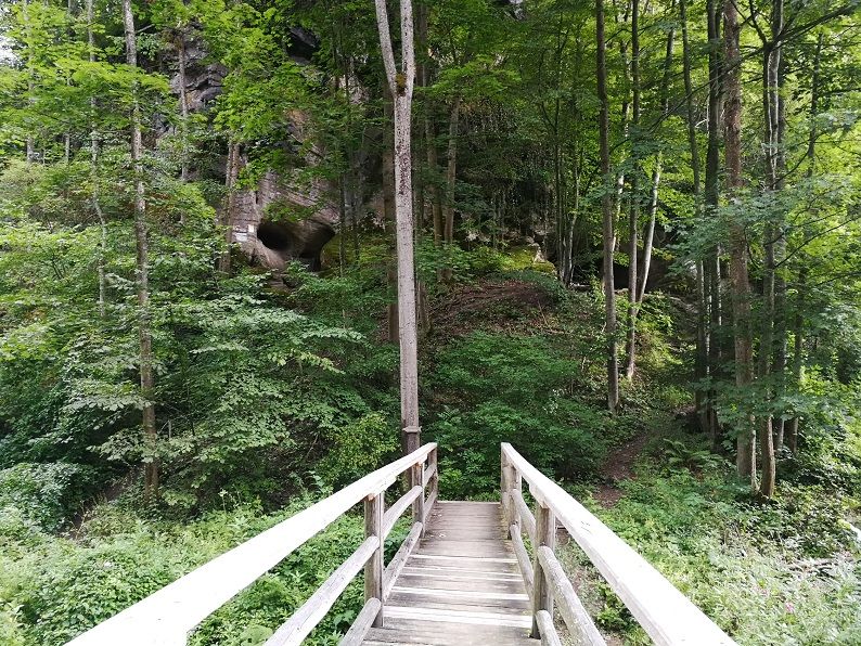 Wooden bridge leads through a forest to the Gudenushoehle cave.
