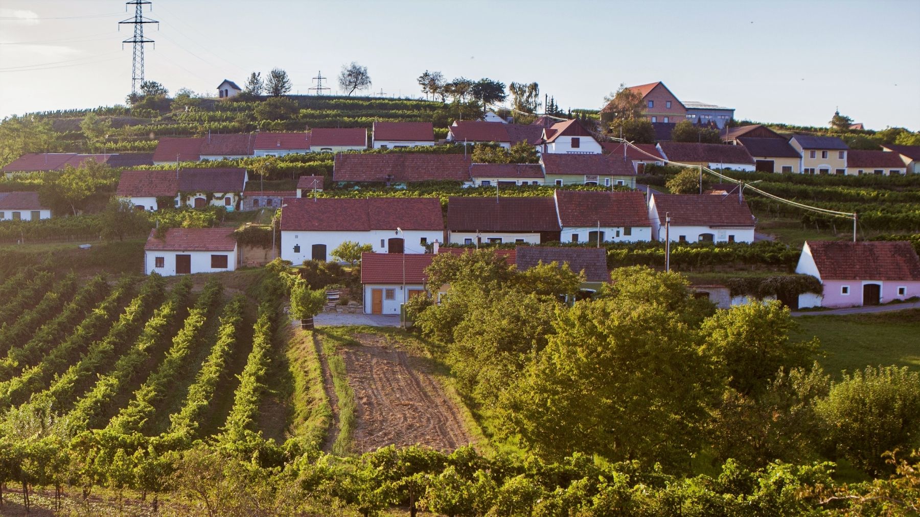 Ried Kellerberg