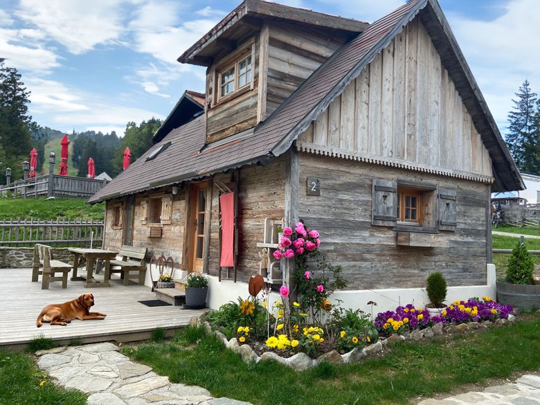 A rustic wooden hut with a flower bed and a dog on the terrace, surrounded by green countryside and red parasols.