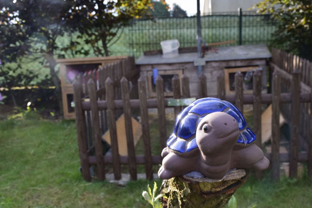 A ceramic figurine of a turtle in front of a wooden fence and a small enclosure in the garden.