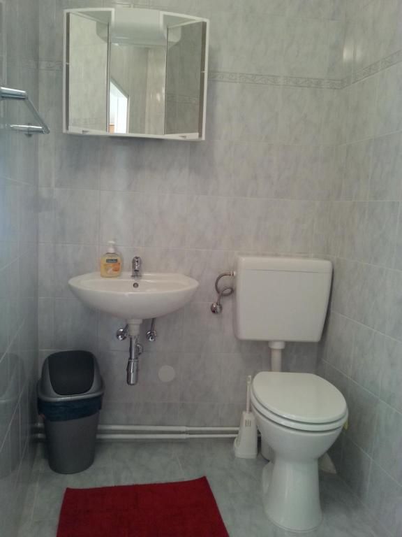 Small bathroom with washbasin, mirror, toilet and waste garbage can.