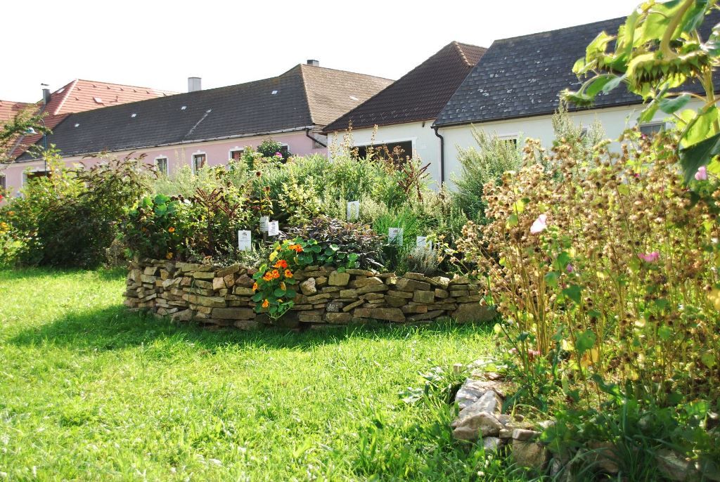 Herb bed with stone wall in a garden in front of houses.