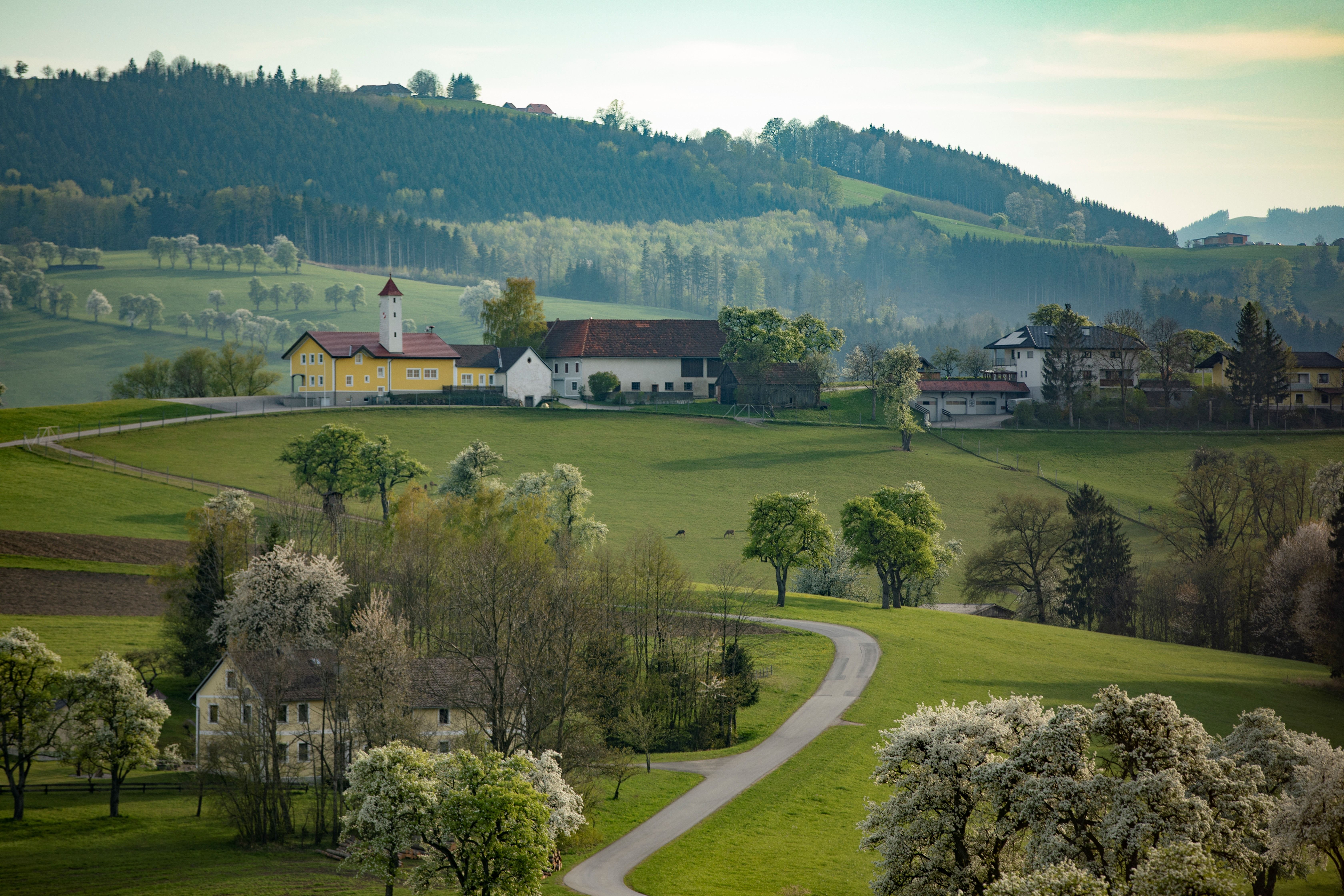 Karl Lammerhuber View Trail