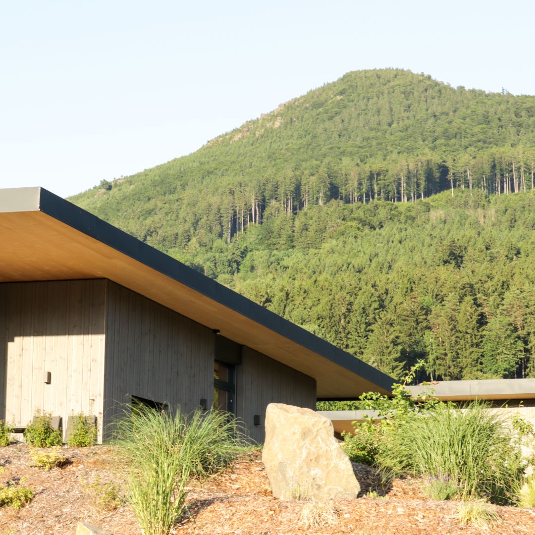 Modern building with a flat roof in front of a wooded mountain.