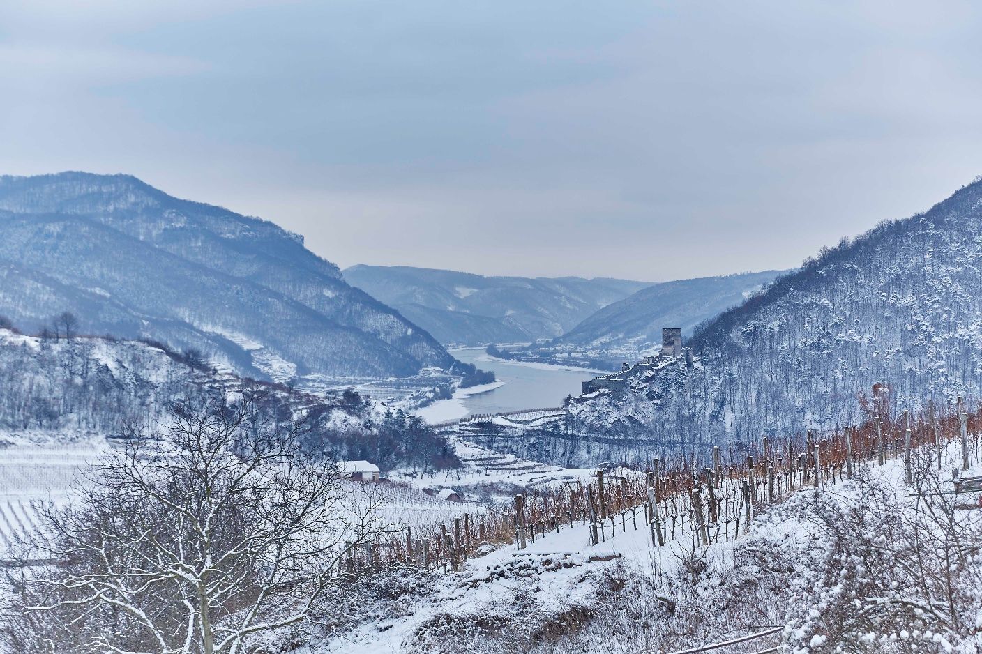 Spitz in winter with a view of the Danube